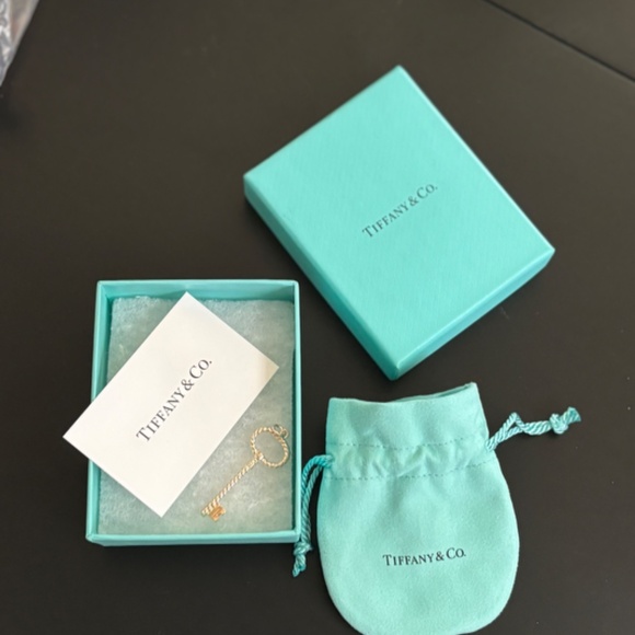 NWT Tiffany & Co. Oval Twist Key 925 Sterling Silver Charm - Picture 3 of 3